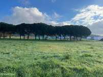 ANG992 - Terreno para Venda em Chãs, Regueira de Pontes, Leiria