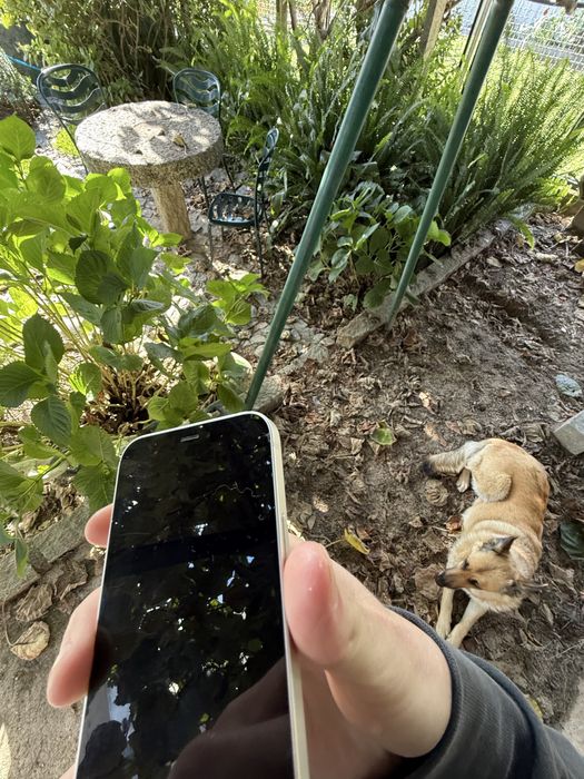 iPhone 12 mini 128gb