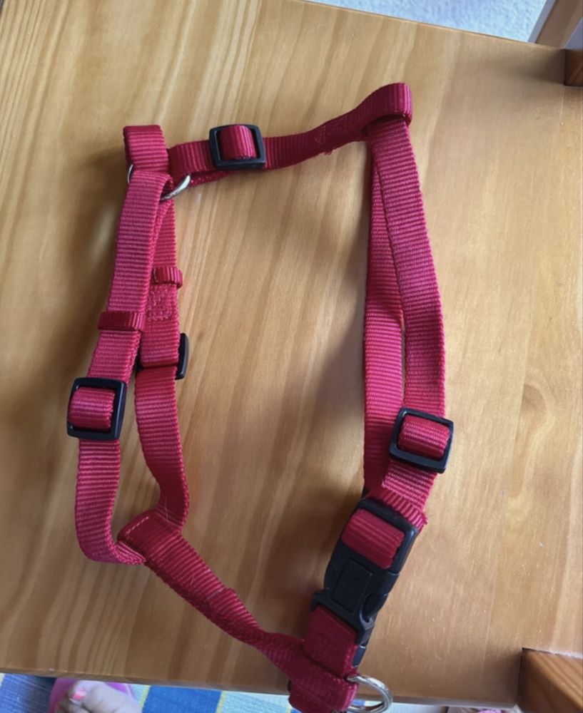 Arnês para cachorro porte medio TRIXIE