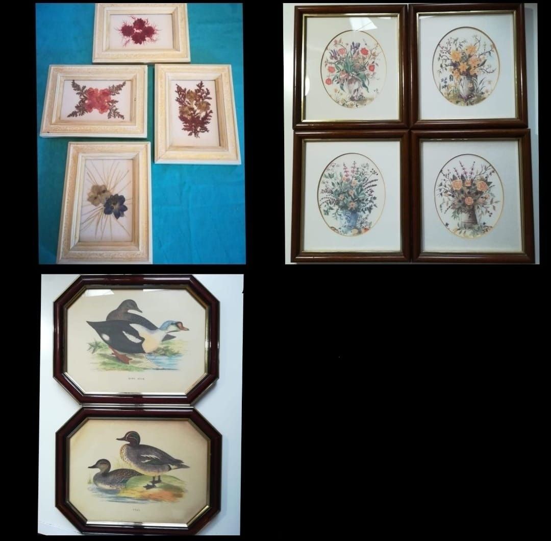 Quadros de Decoração - Vários