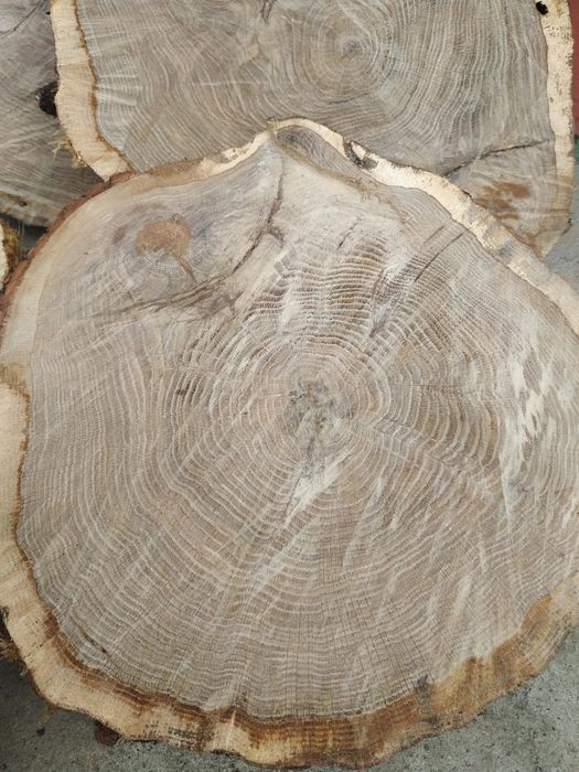 Plastry suche z czereśni, dębu