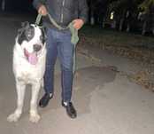 Cavidan5707075757