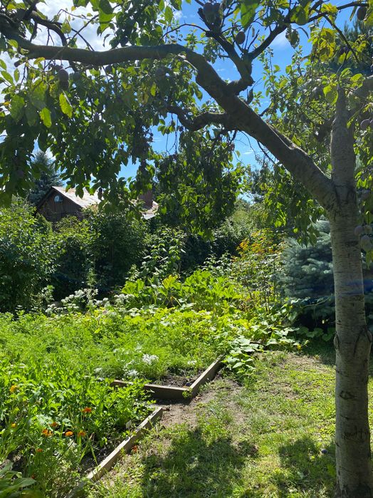 Dzialka RODO -  Kepa Potocka Warszawa