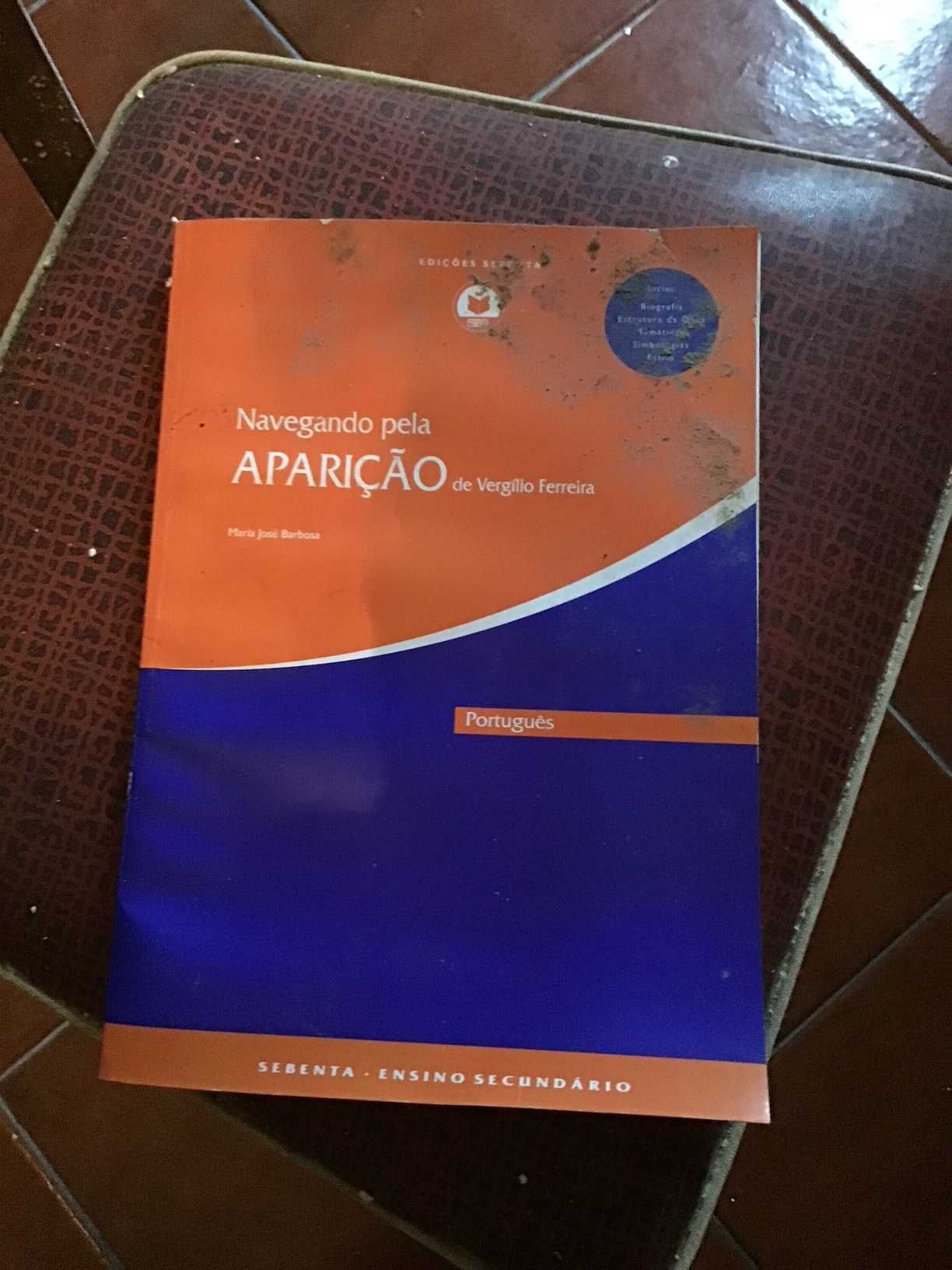 livro navegando pela aparicao de vergilio ferreira sebenta