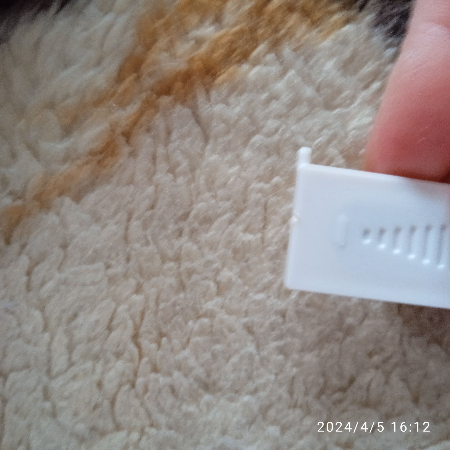 Wax Vac WaxVac Ear Vacu Urządzenie Aspirator Do Czyszczenia Uszu