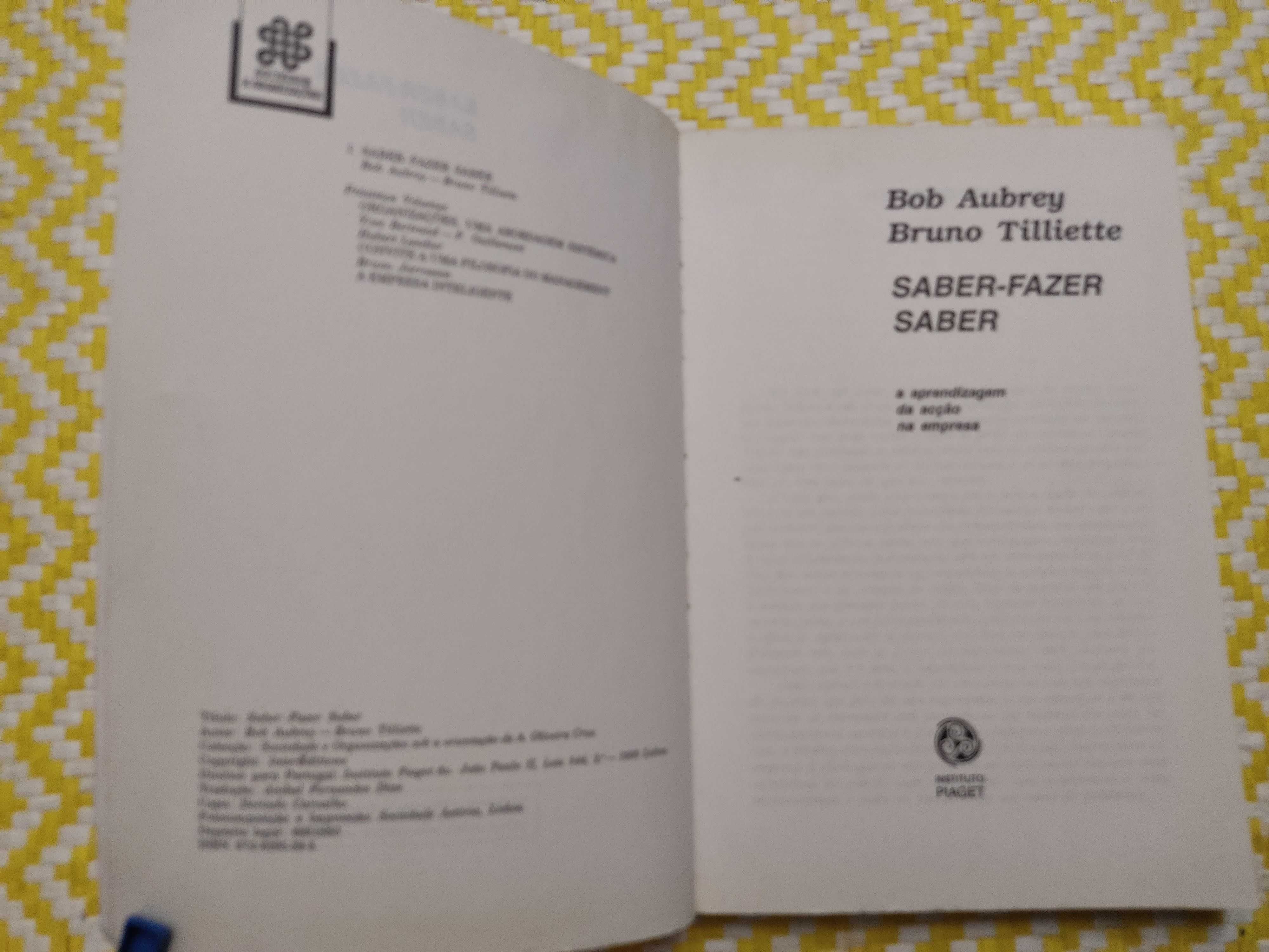 Saber-Fazer Saber a aprendizagem da acção na Empresa