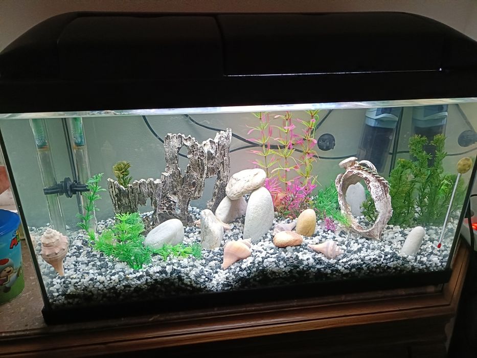 Vendo aquário de 60 litros mais acessórios