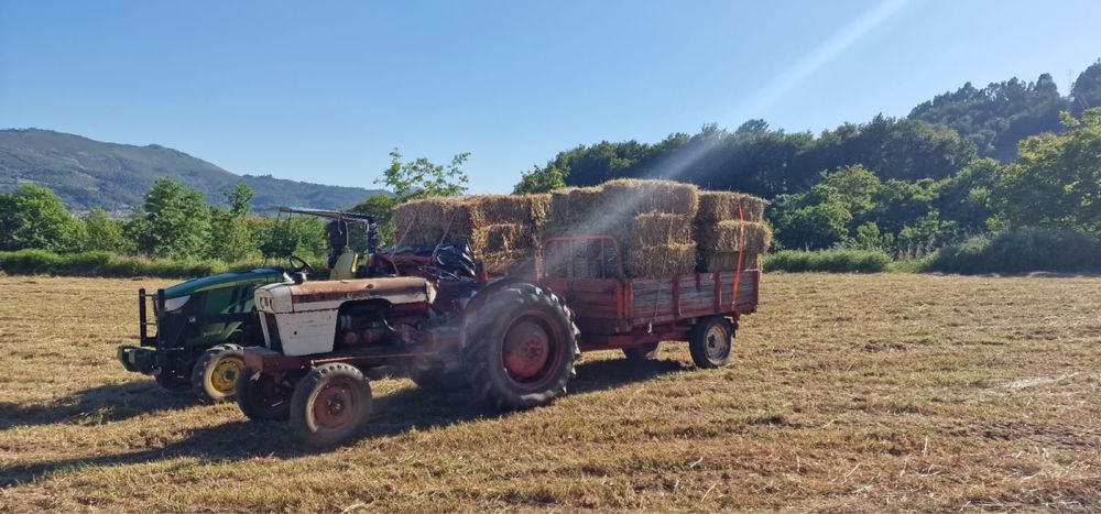 Fardos de feno e de palha