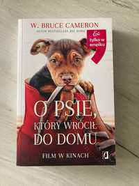 Książka dla dzieci o psie który wrócił do domu