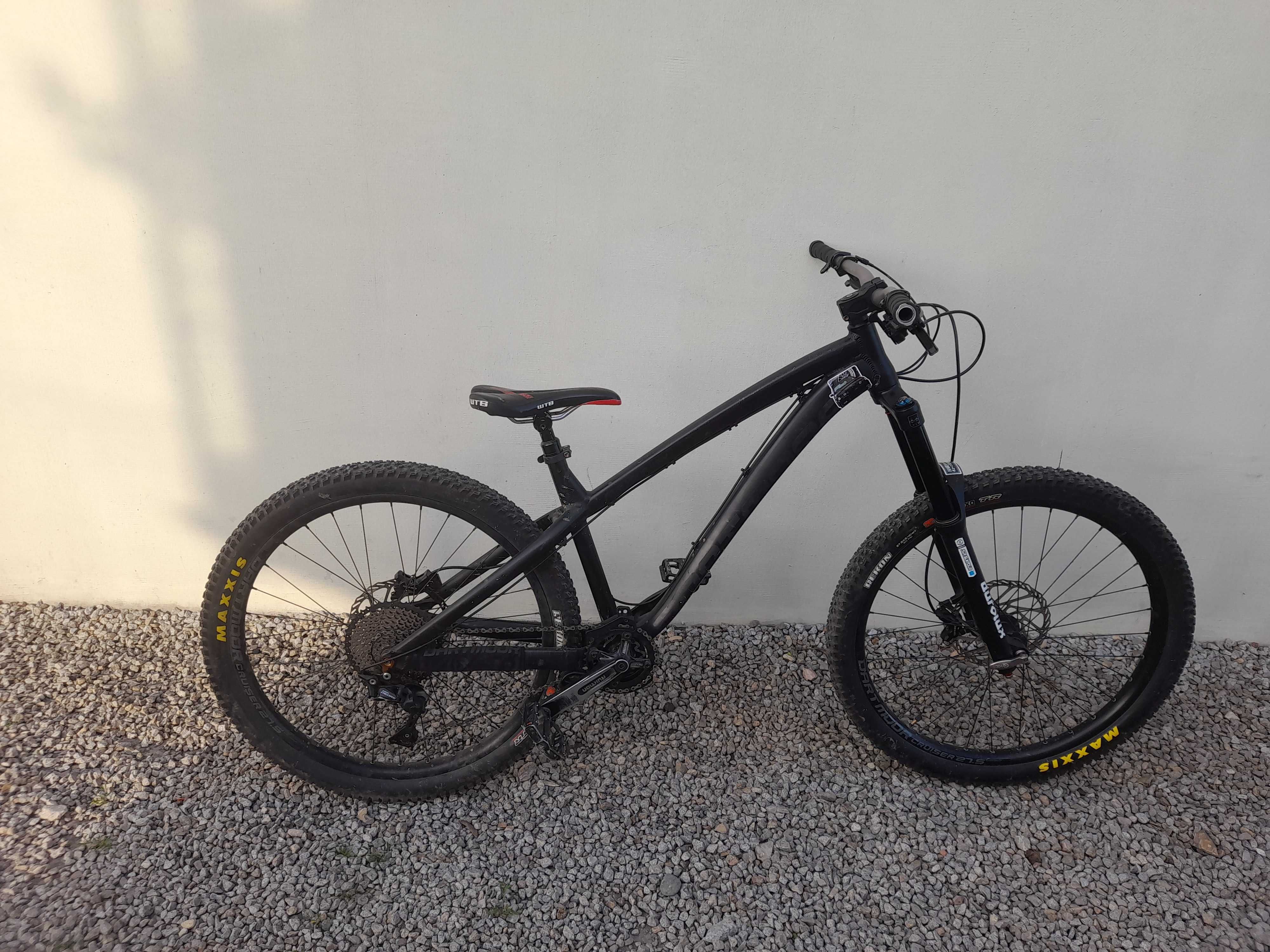 Dartmoor hornet 2020