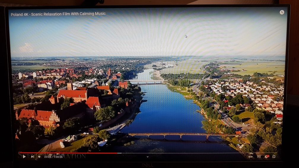 Monitor Dell P2419H