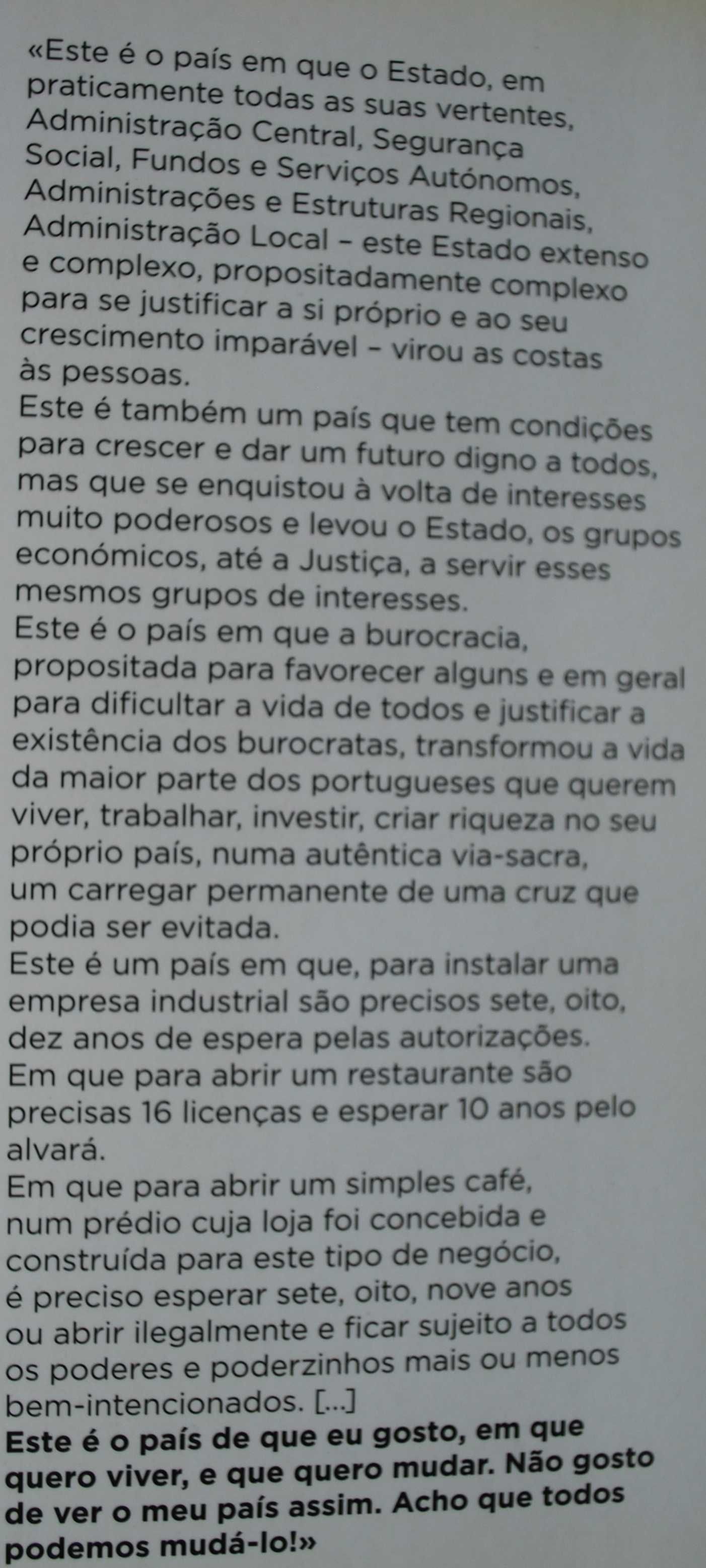 O Meu Programa de Governo de José Gomes Ferreira