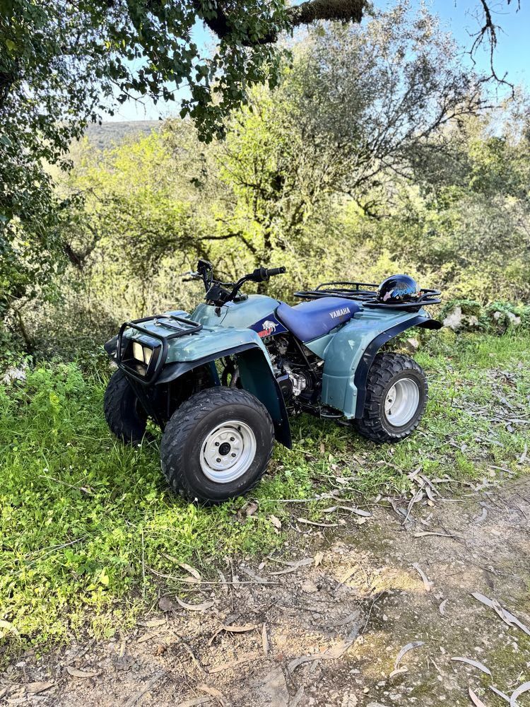 Yamaha TimberWolf
