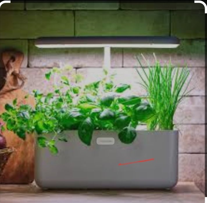 Cultivo hidroponico Prozis