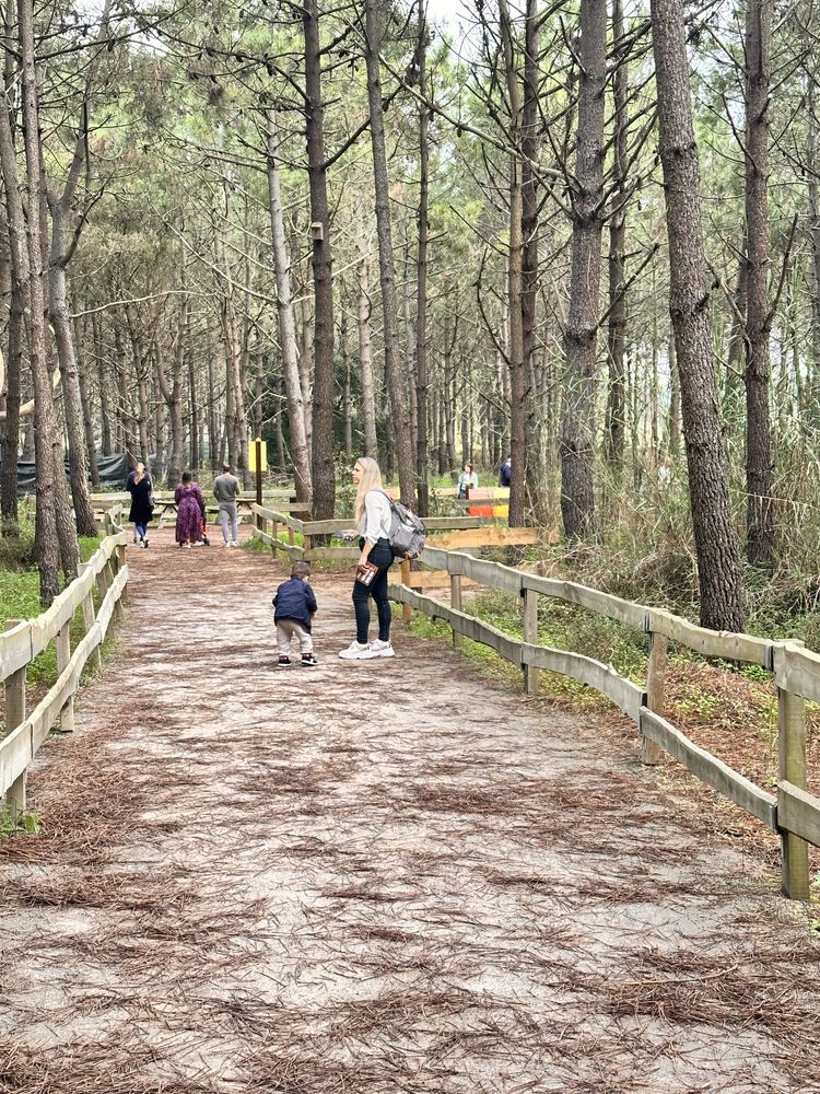 Carpintaria e pinturas em madeira