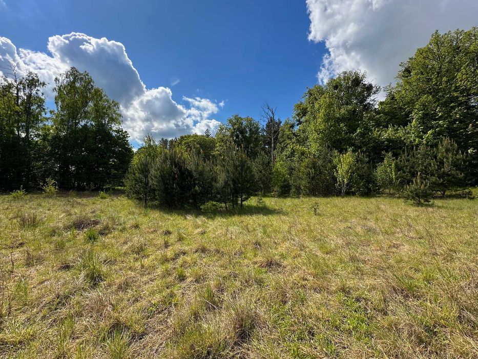 Działka budowlana 800 m² | MPZP | spokojna okolica | 25 min od Gdańska