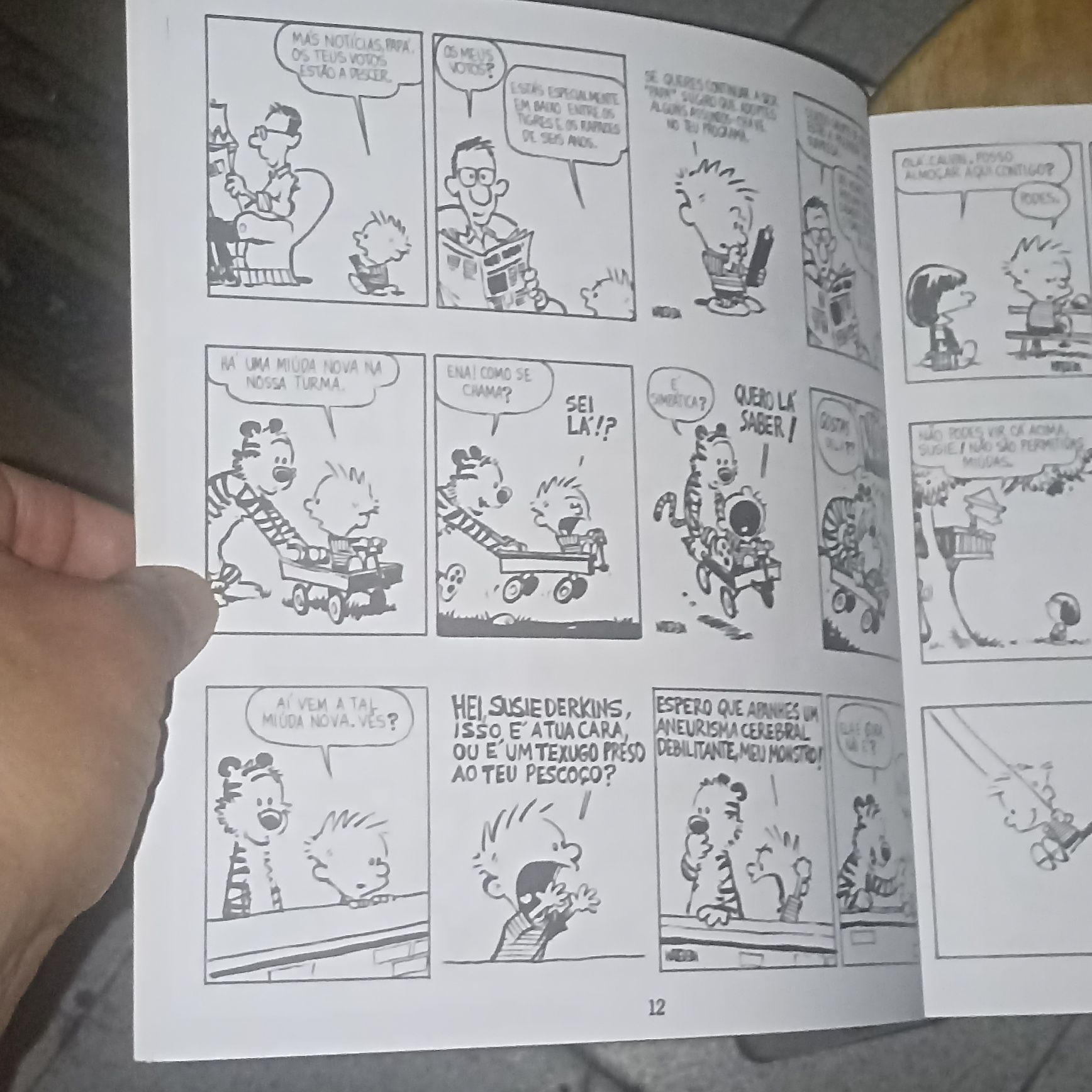 Calvin & Hobbes de Bill Watterson
