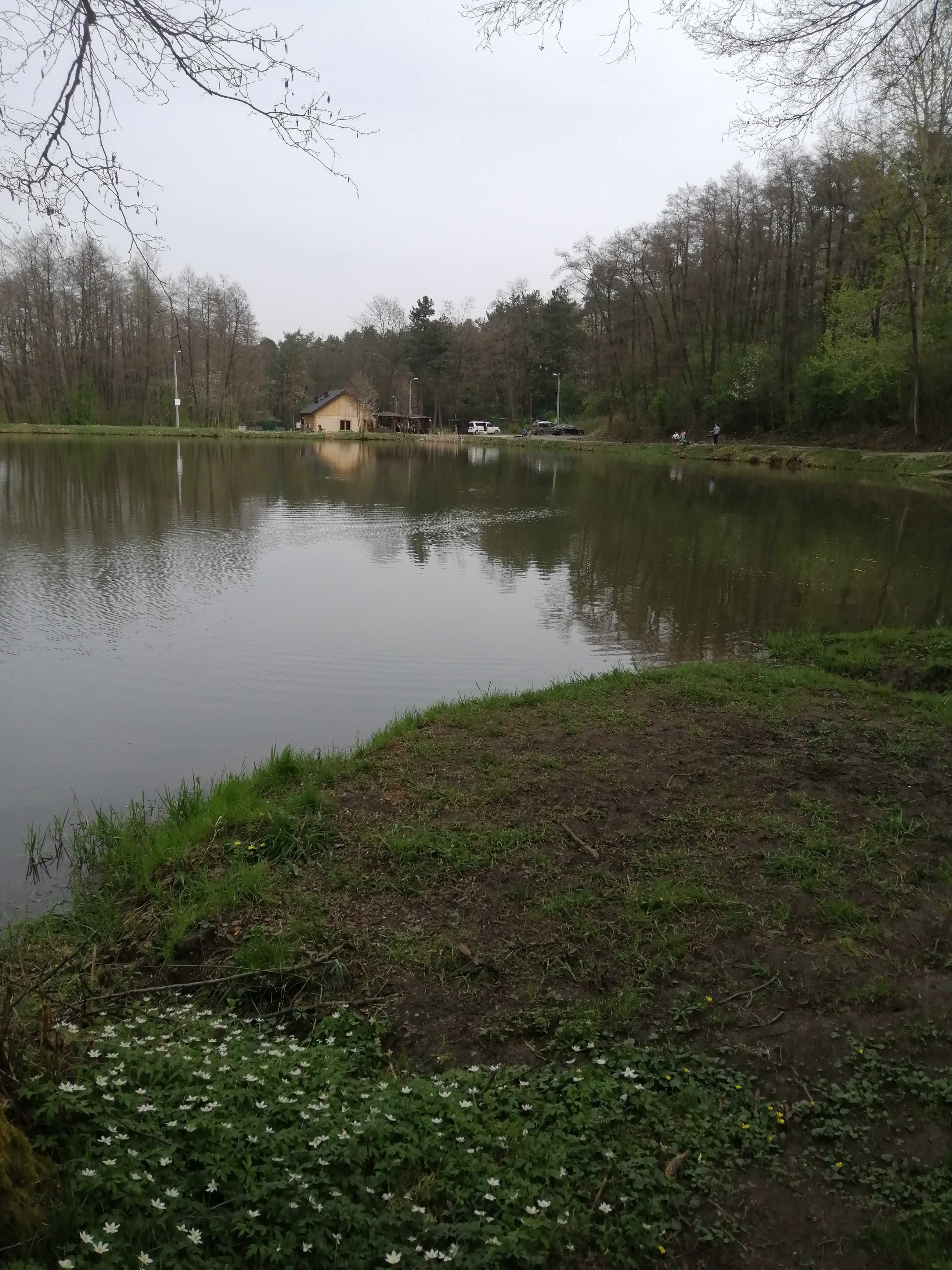 Agroturystyka Bliżej Lasu karmienie kur i biegający królik oraz Sala