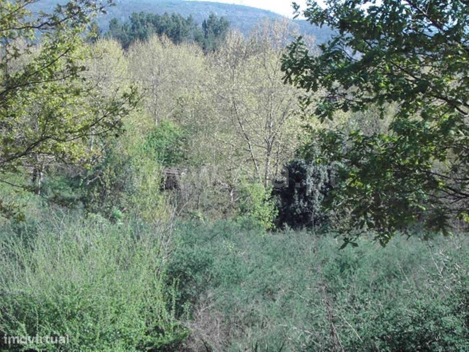 Terreno para construção com 9.570 m2 em Mondim de Basto