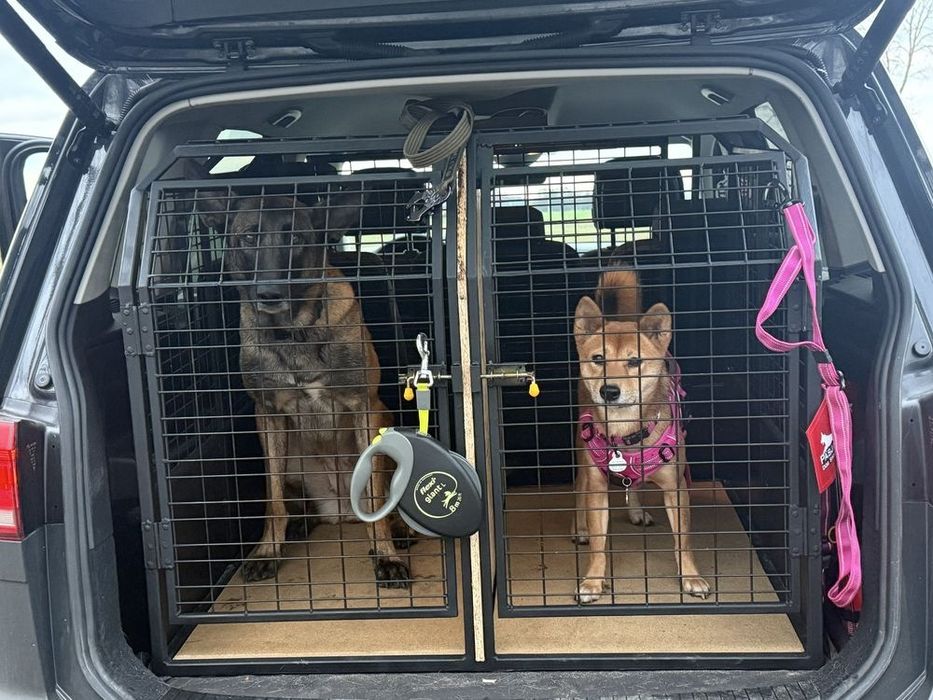 Wytrzymała klatka transportowa dla psa SteelDog