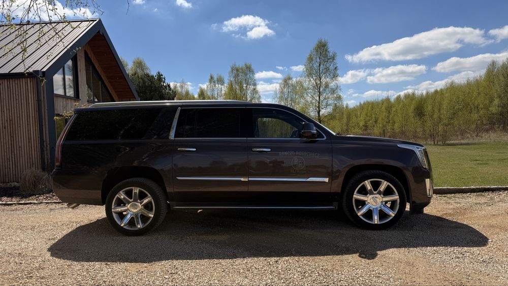 Cadillac Escalade ESV 6.2 V8! Wersja Luxury!