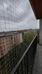 Siatka dla kotów na balkon. Krótkie terminy.
