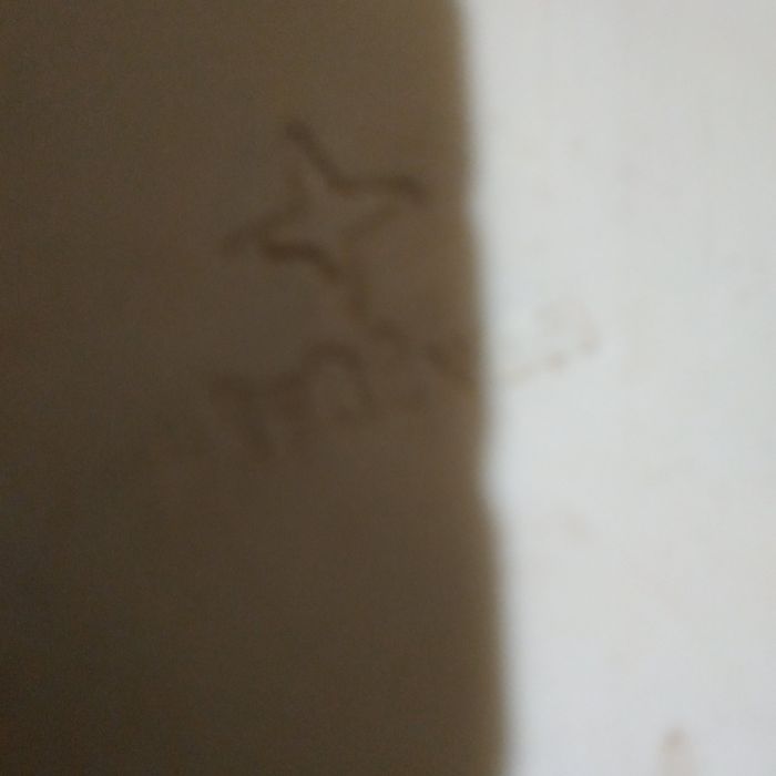 Українська Ніч, пластик