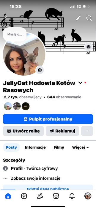 Kocurek Ragdoll , rodowod FPL.