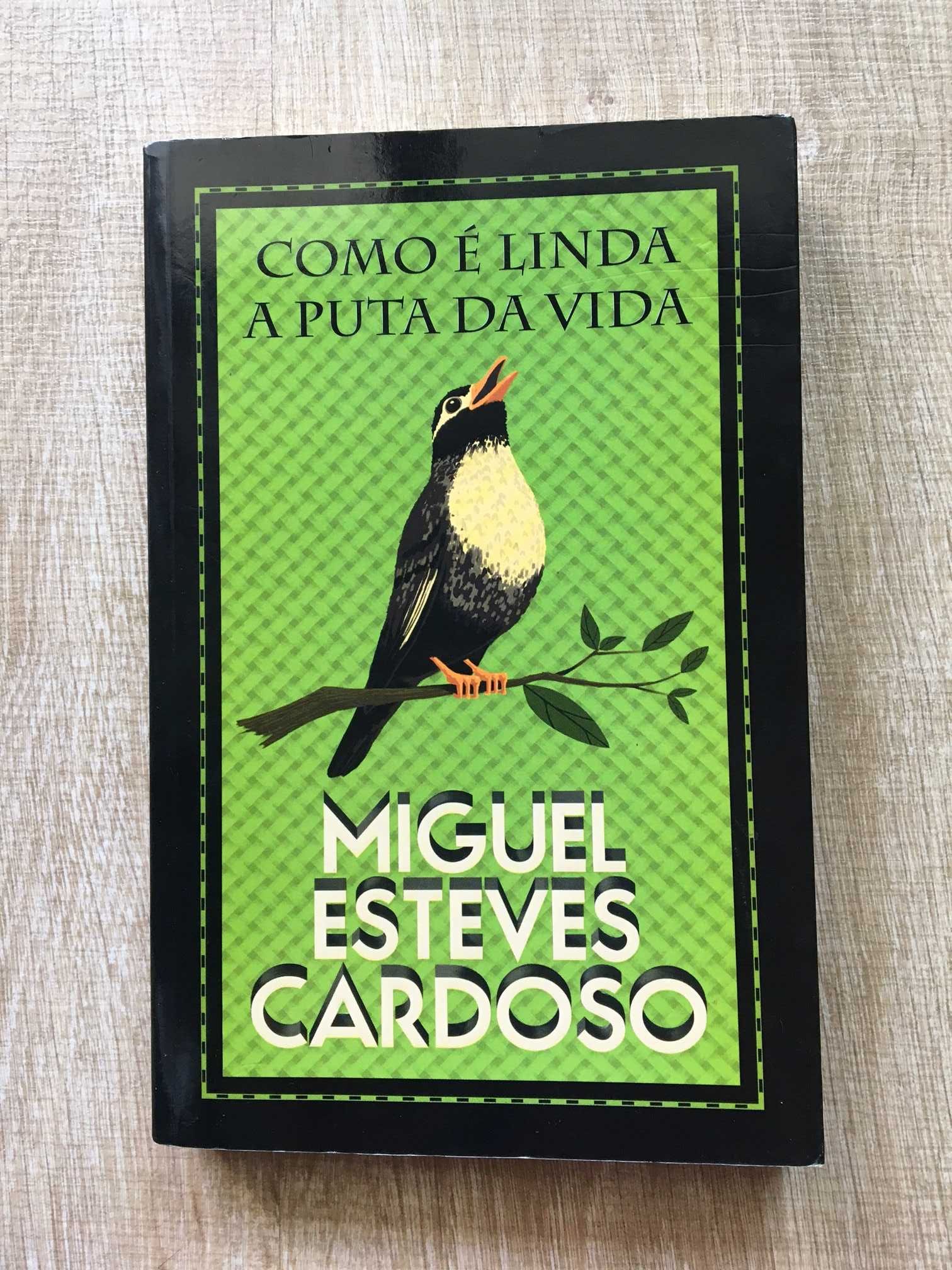 Como é Linda a Puta da Vida - Miguel Esteves Cardoso