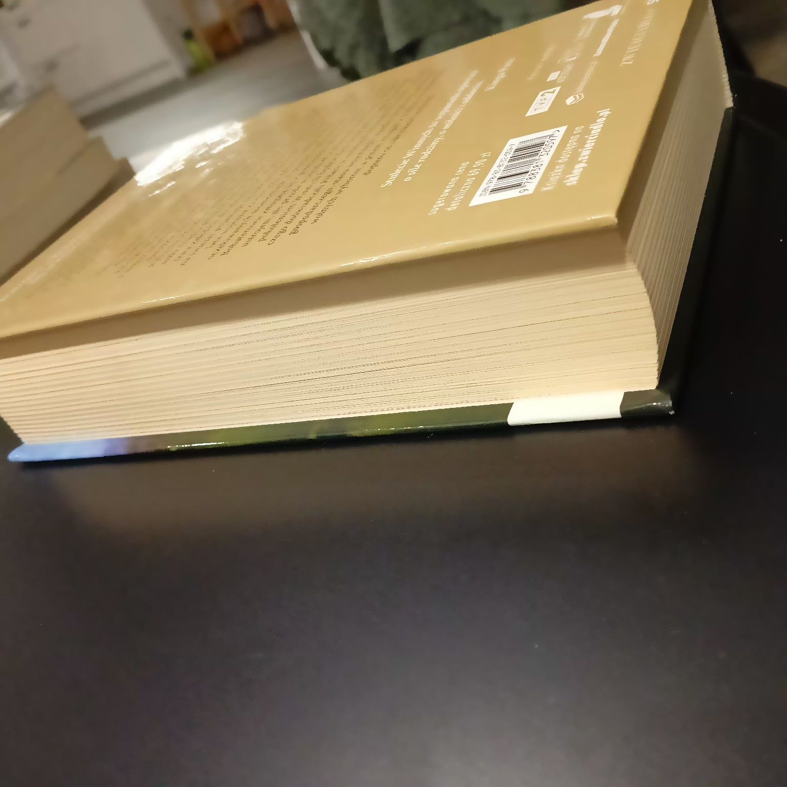 Stulecie Winnych/ trylogia/ Ałbena Grabowska