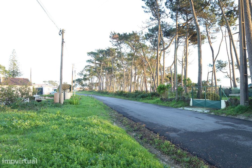 Terreno Rustico