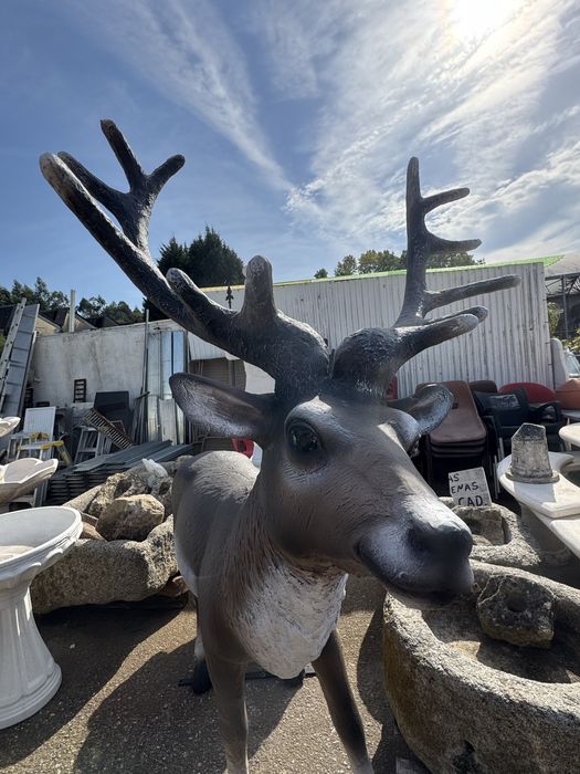 Renas Fibra de Vidro Tamanho Real Decoração!