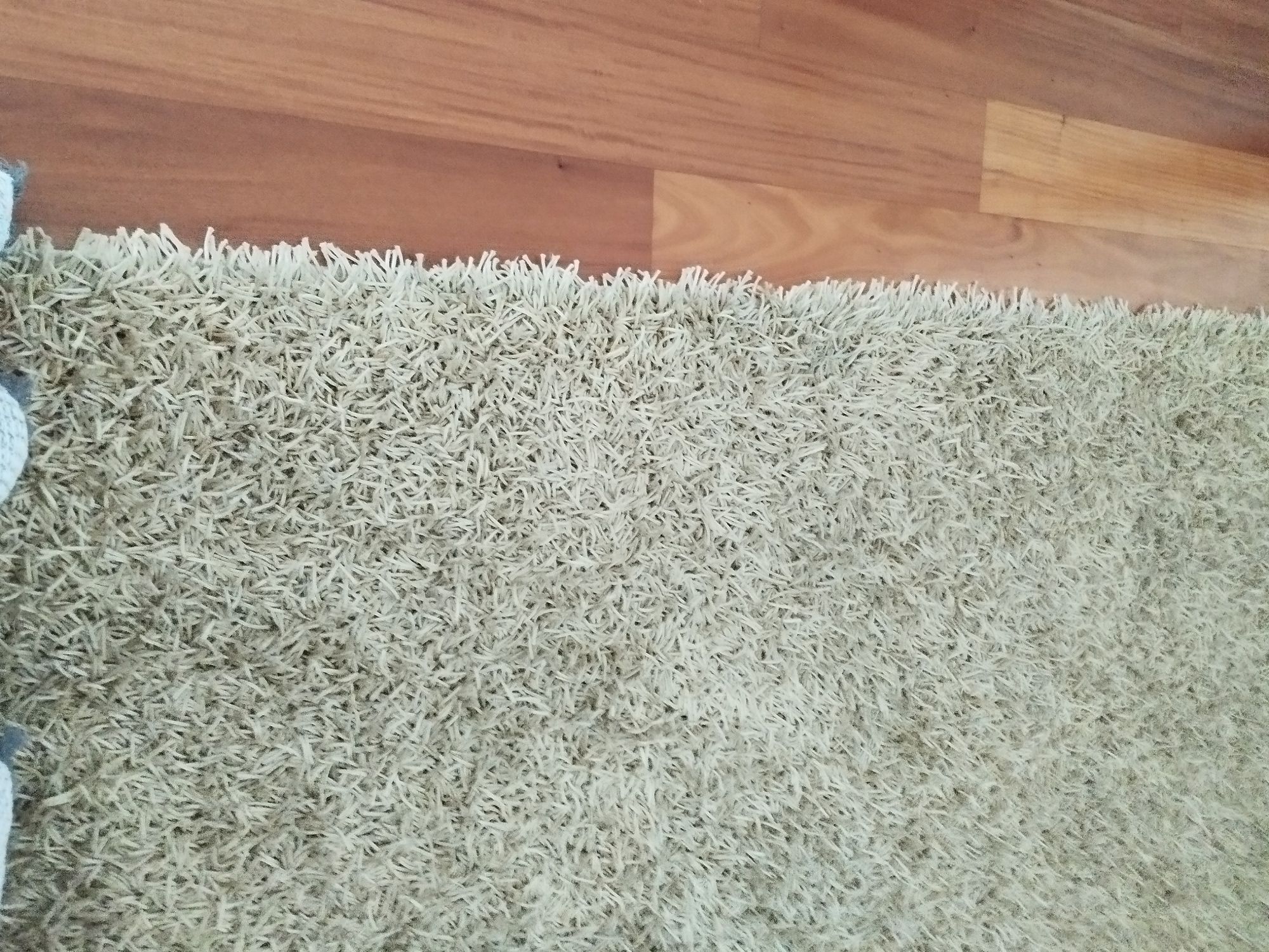 Carpete a bege sala de estar
