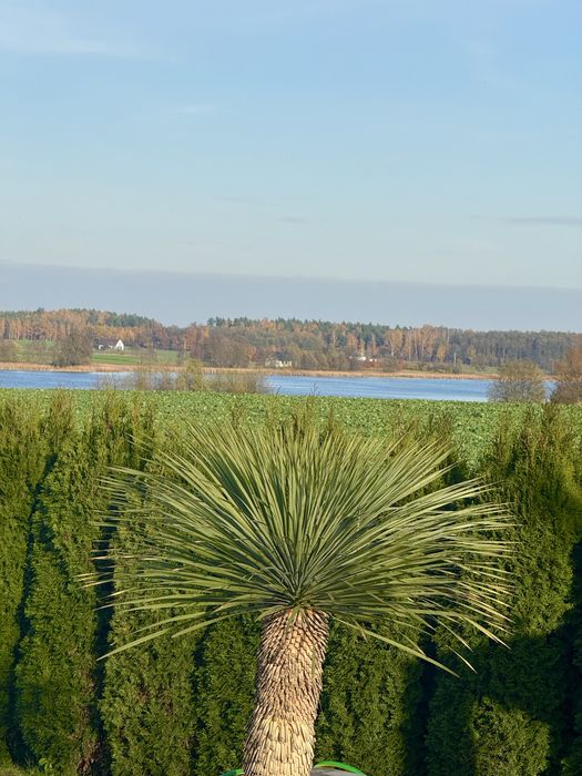 Sylwester zajetWilla przy jeziorze dla 14 osób wysoki standard jacuzzi