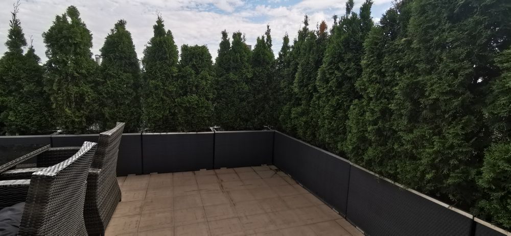 Donice technorattan 100x60x30 z tujami