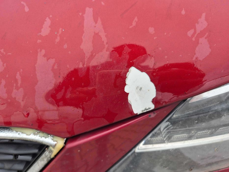 Seat Ibiza 1.2 TDI Common Rail - bardzo bogate WYPOSAŻENIE