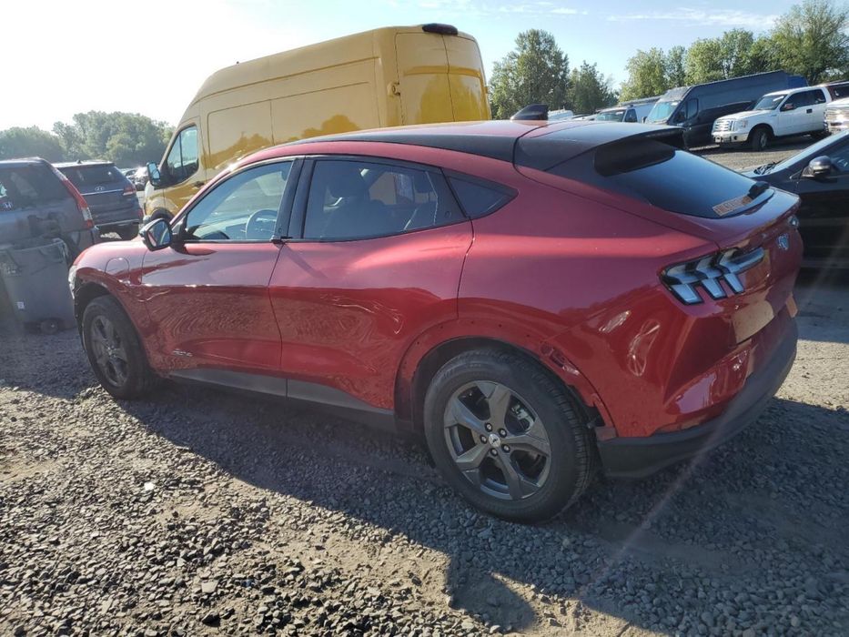 Mustang mach e в дорозі