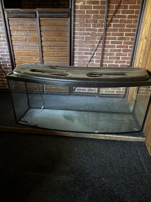 Великий тераріум в гарному стані.