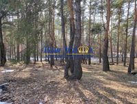 Продажа земли в лесу с коммуникациями село Плюты. Конча-Заспа.