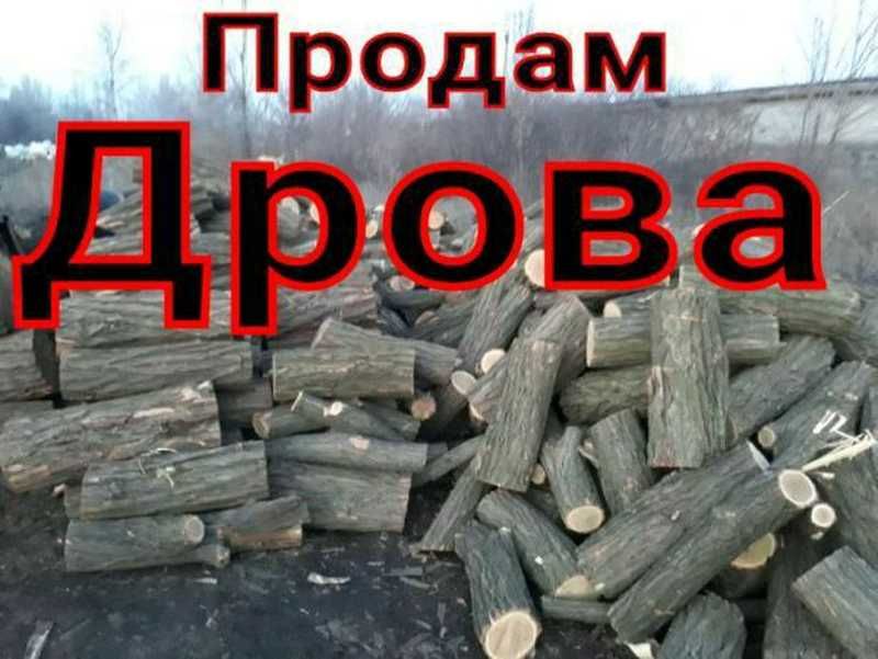 Продам "ДРОВА " акація і клен