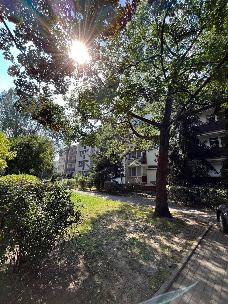 Mieszkanie 28,8 m2 - Saska Kępa (Brazylijska) od 01.08 - 2300PLN