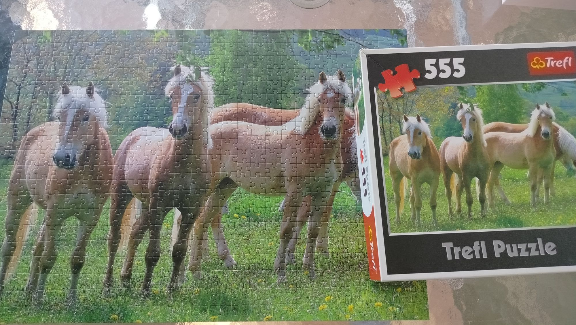 Puzzle konie Trefl 555 horses koń układanka