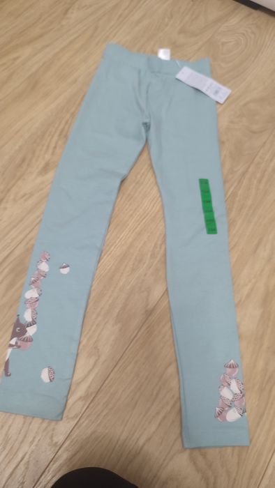 Leginsy nowe z wiewiórka