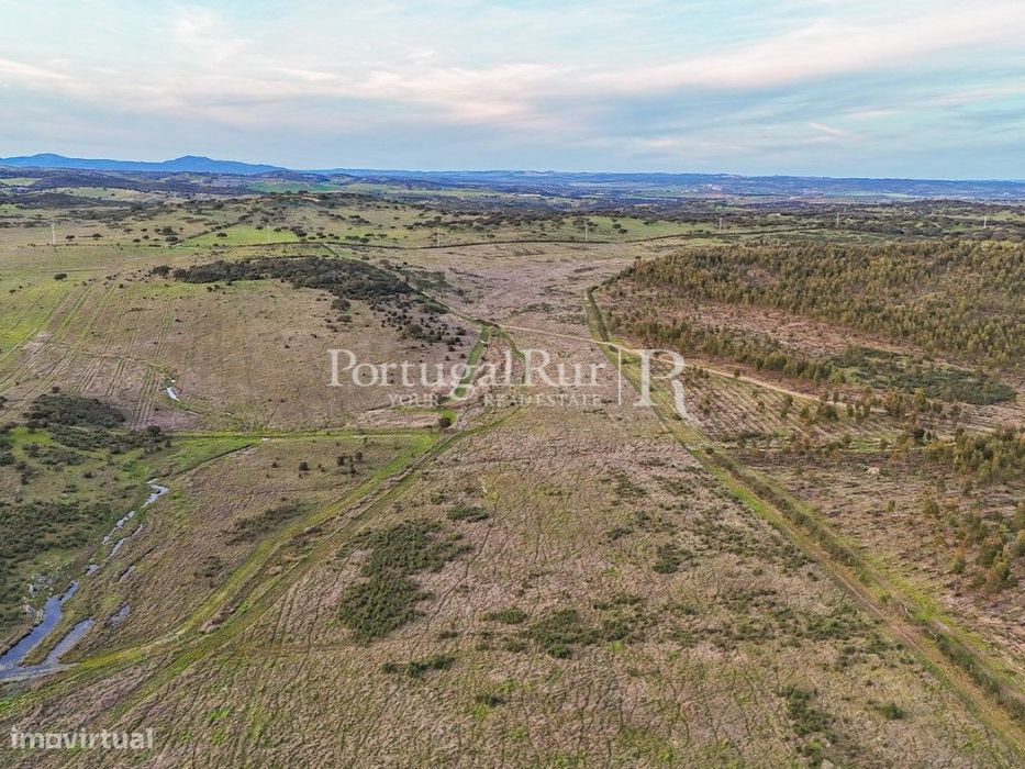 Propriedade com 15 hectares de terreno plano