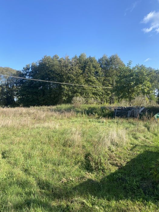 Dom z potencjałem, 197m2, działka 9400m2 +300m2 droga, gabinet, okzaja