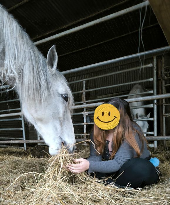 Égua Russa para venda