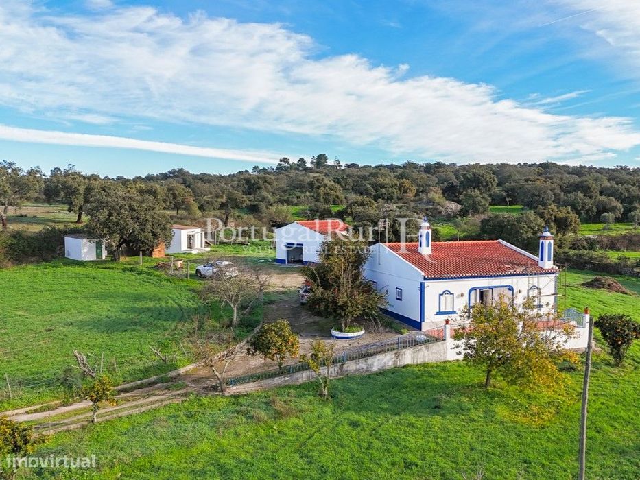 Quinta com 2,9 ha e Monte Alentejano T2 em Portalegre
