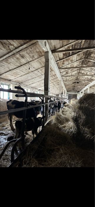 Продаж бізнесу фермерського господарства