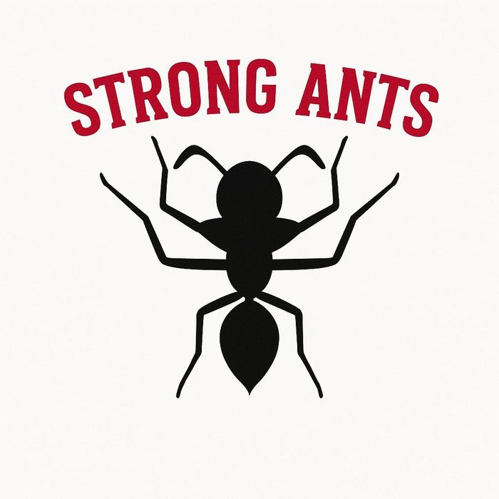 Spersonalizowane zamownie Camponotus nicobarensis 2 kolonie Q + około