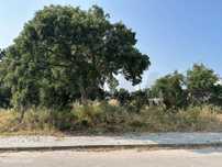 Terreno Urbano para construção em Quinta da Marquesa, Palmela – 109.90